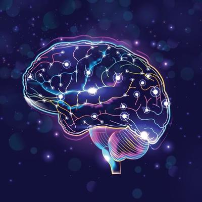 brain.jpg
