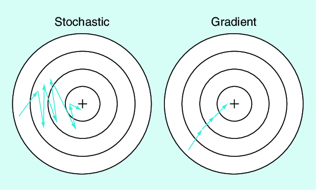 stochastic.png