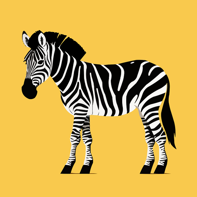 zebra.jpg